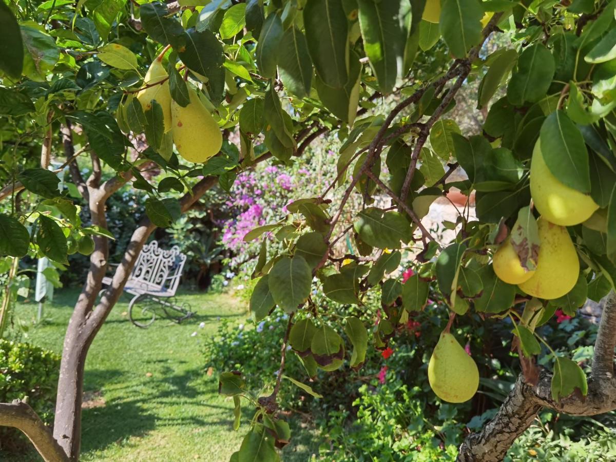 Il Giardino Di Tatiana Rooms & Breakfast Ла Мадалена Екстериор снимка