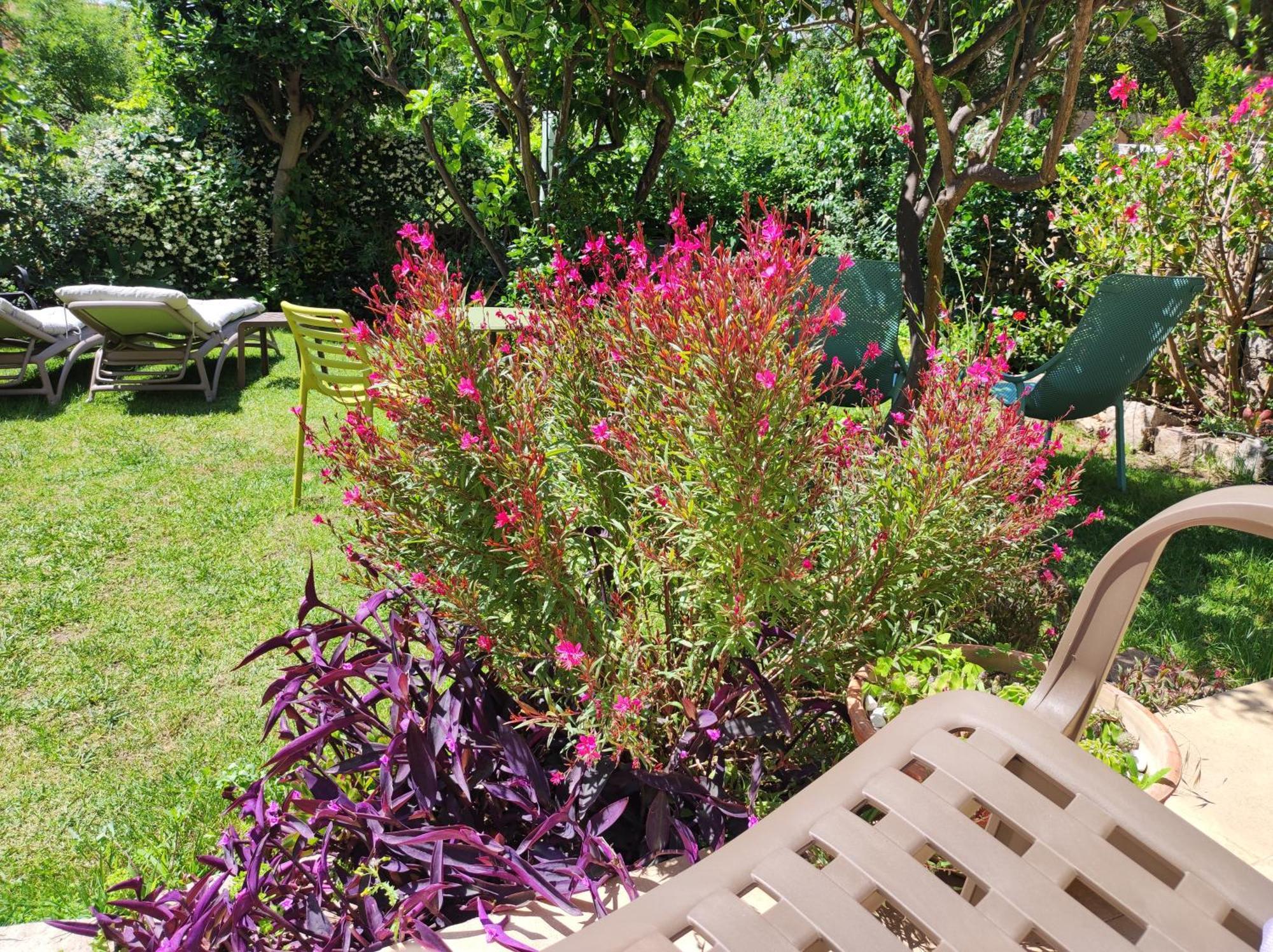 Il Giardino Di Tatiana Rooms & Breakfast Ла Мадалена Екстериор снимка