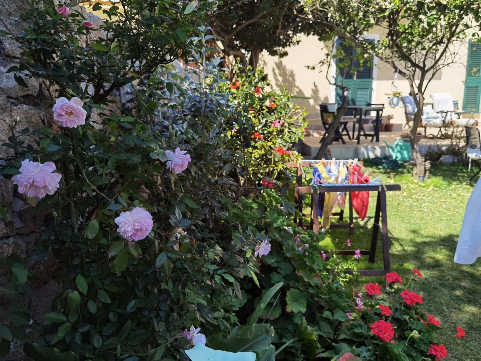 Il Giardino Di Tatiana Rooms & Breakfast Ла Мадалена Стая снимка