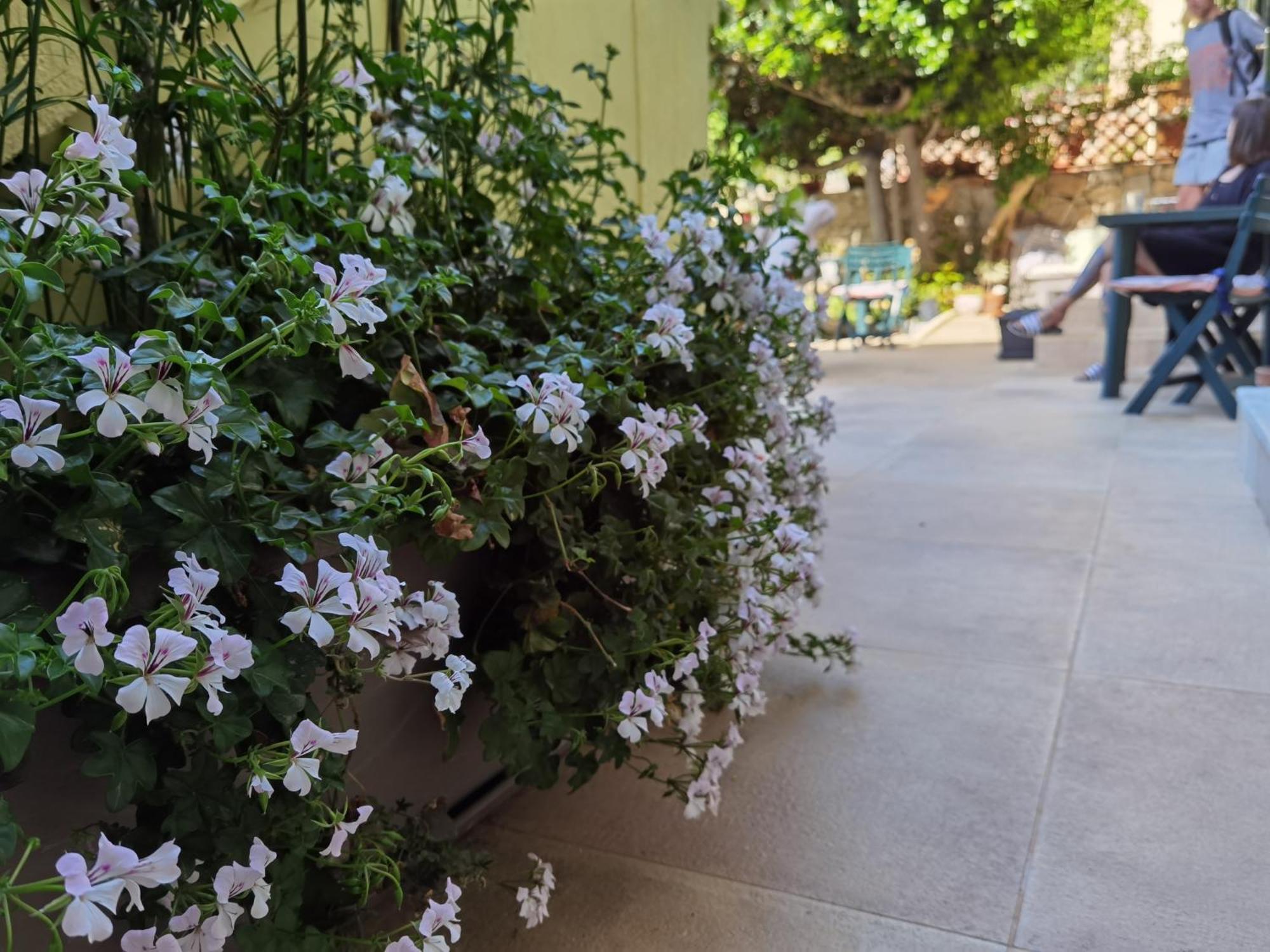 Il Giardino Di Tatiana Rooms & Breakfast Ла Мадалена Стая снимка