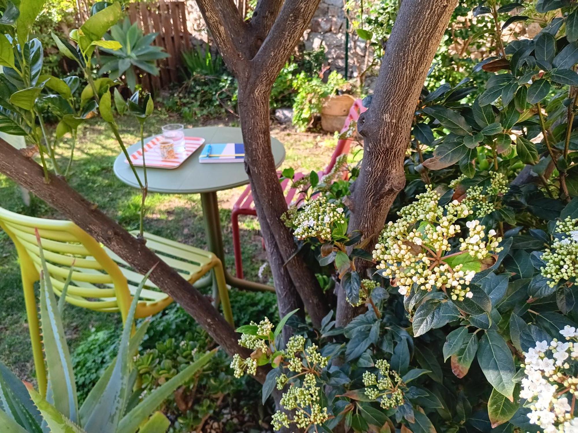 Il Giardino Di Tatiana Rooms & Breakfast Ла Мадалена Стая снимка